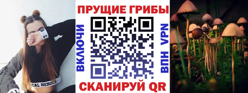 Купить где  Воркута  Галлюциногенные грибы MAGIC MUSHROOMS 